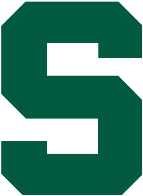 Michigan State Spartans iron ons